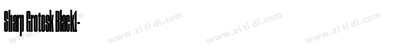 Sharp Grotesk Black1字体转换 Sharp Grotesk Black1字体转换
